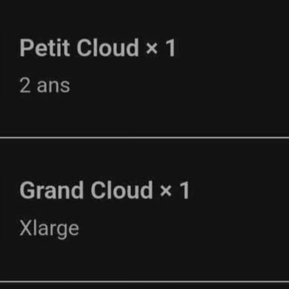 Twinning Petit Montagnard - Picture 3 of 3